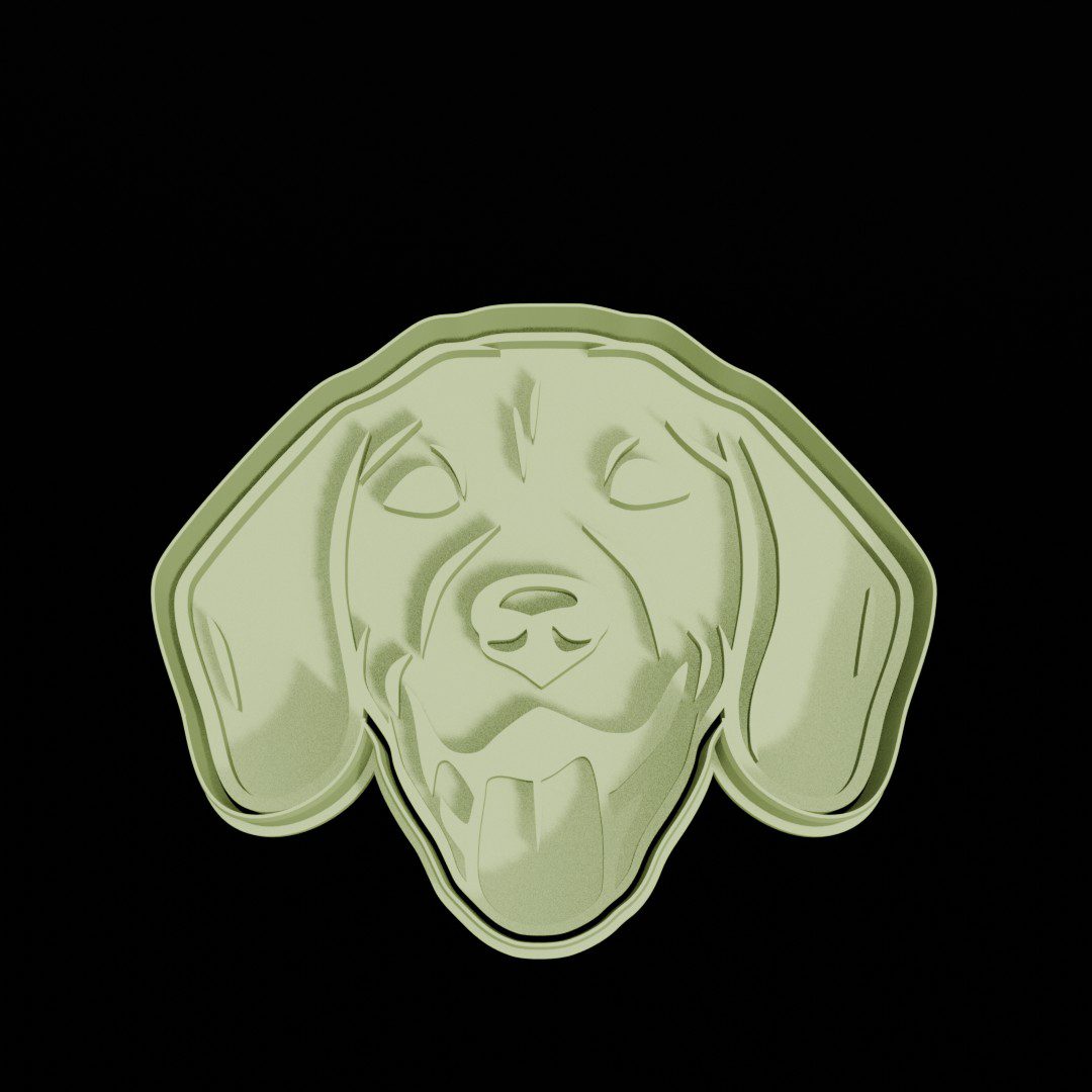 Beagle